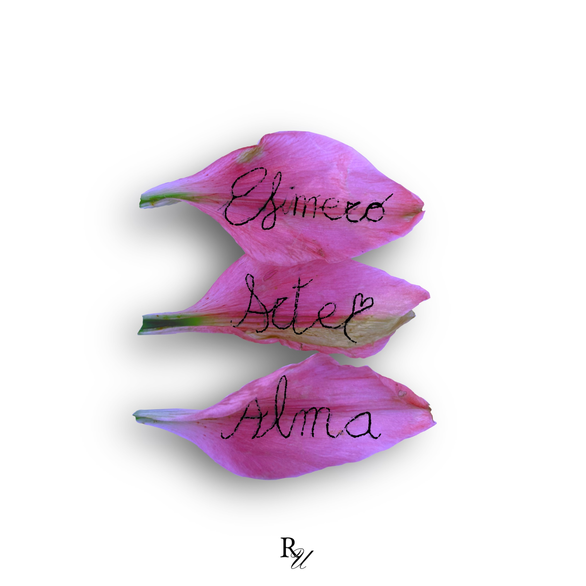 La que florece V