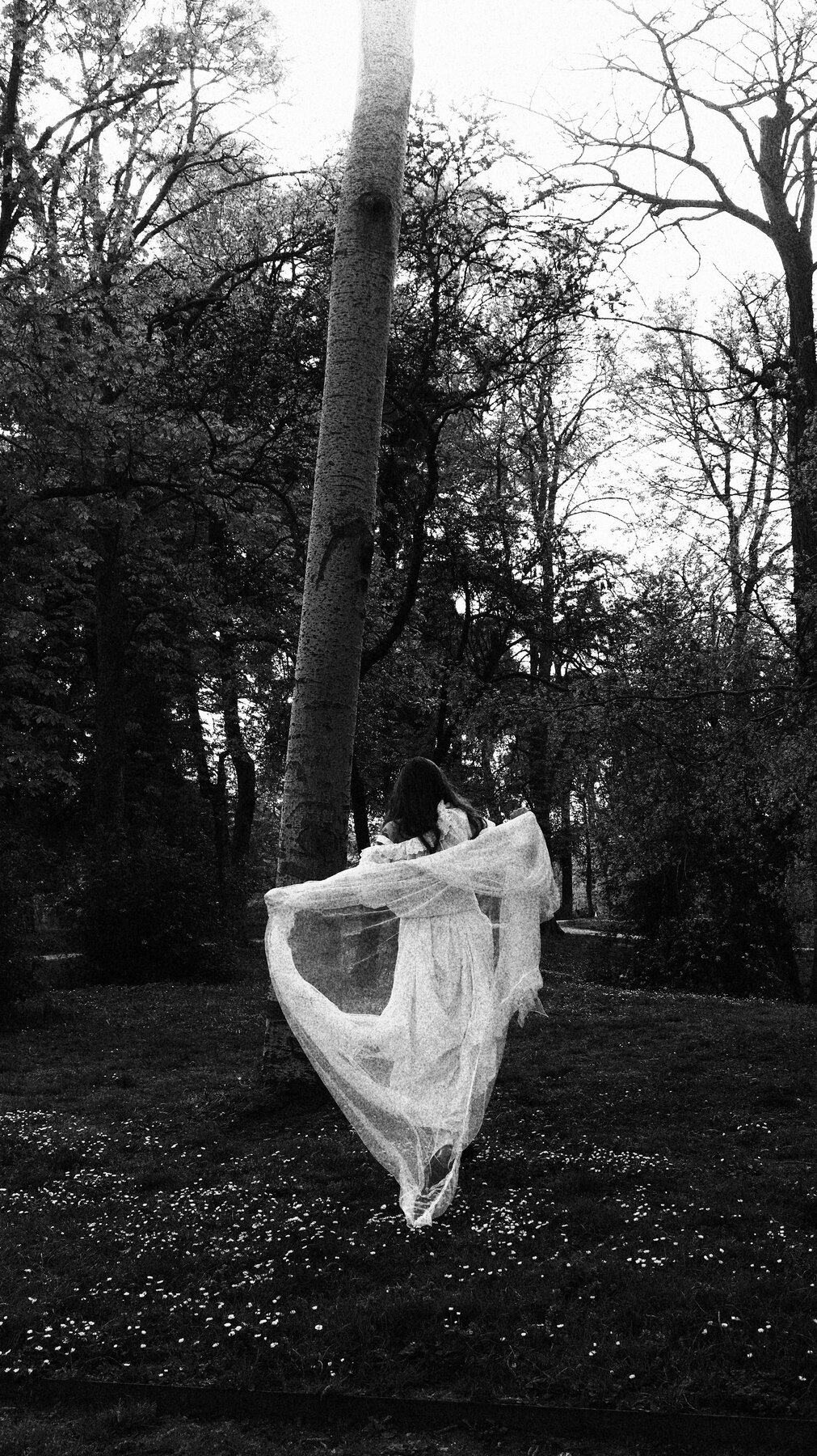 Ana Maes